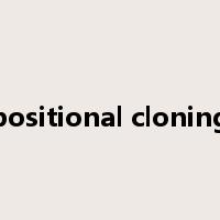 positional cloning是什么意思