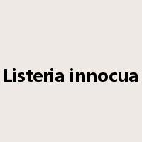 Listeria innocua是什么意思