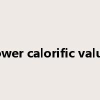 lower calorific value是什么意思