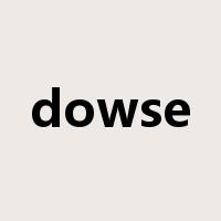 dowse是什么意思