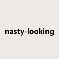 nasty-looking是什么意思