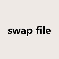 swap file是什么意思