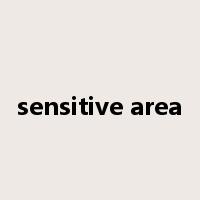 sensitive area是什么意思