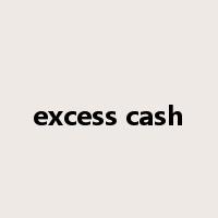 excess cash是什么意思