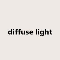 diffuse light是什么意思