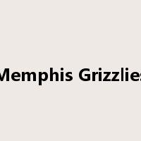 Memphis Grizzlies是什么意思