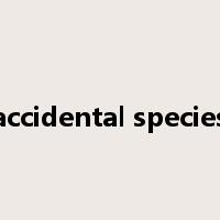 accidental species是什么意思