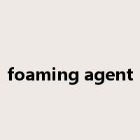 foaming agent是什么意思