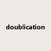 doublication是什么意思