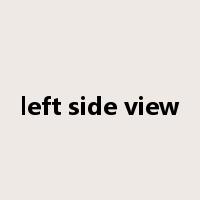 left side view是什么意思