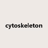 cytoskeleton是什么意思