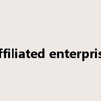 affiliated enterprise是什么意思