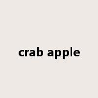 crab apple是什么意思