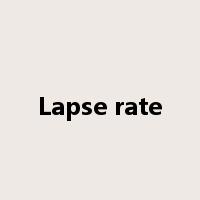 Lapse rate是什么意思