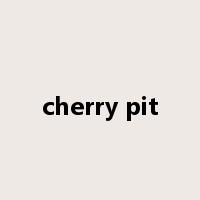 cherry pit是什么意思