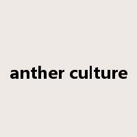 anther culture是什么意思