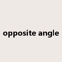 opposite angle是什么意思