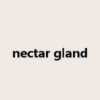 nectar gland是什么意思