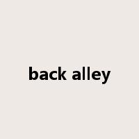 back alley是什么意思