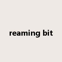 reaming bit是什么意思