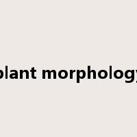 plant morphology是什么意思