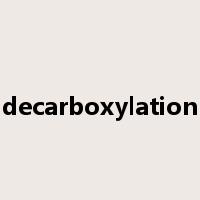 decarboxylation是什么意思