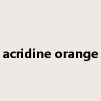 acridine orange是什么意思