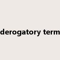 derogatory term是什么意思