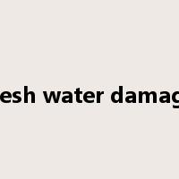 fresh water damage是什么意思