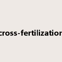 cross-fertilization是什么意思