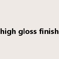 high gloss finish是什么意思