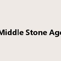 Middle Stone Age是什么意思
