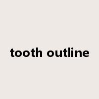tooth outline是什么意思