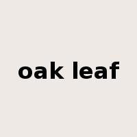 oak leaf是什么意思