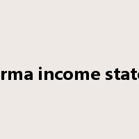 pro forma income statement是什么意思