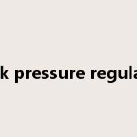 back pressure regulator是什么意思