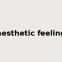 aesthetic feeling是什么意思