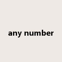 any number是什么意思