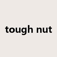 tough nut是什么意思