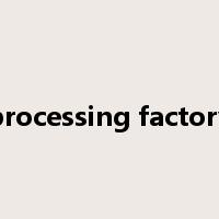 processing factory是什么意思