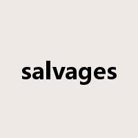 salvages是什么意思