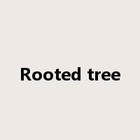 Rooted tree是什么意思