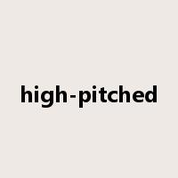 high-pitched是什么意思