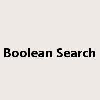 Boolean Search是什么意思