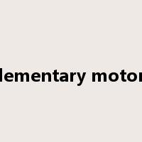 supplementary motor area是什么意思