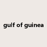 gulf of guinea是什么意思