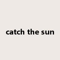 catch the sun是什么意思