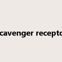 Scavenger receptor是什么意思