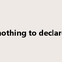nothing to declare是什么意思
