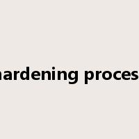 hardening process是什么意思